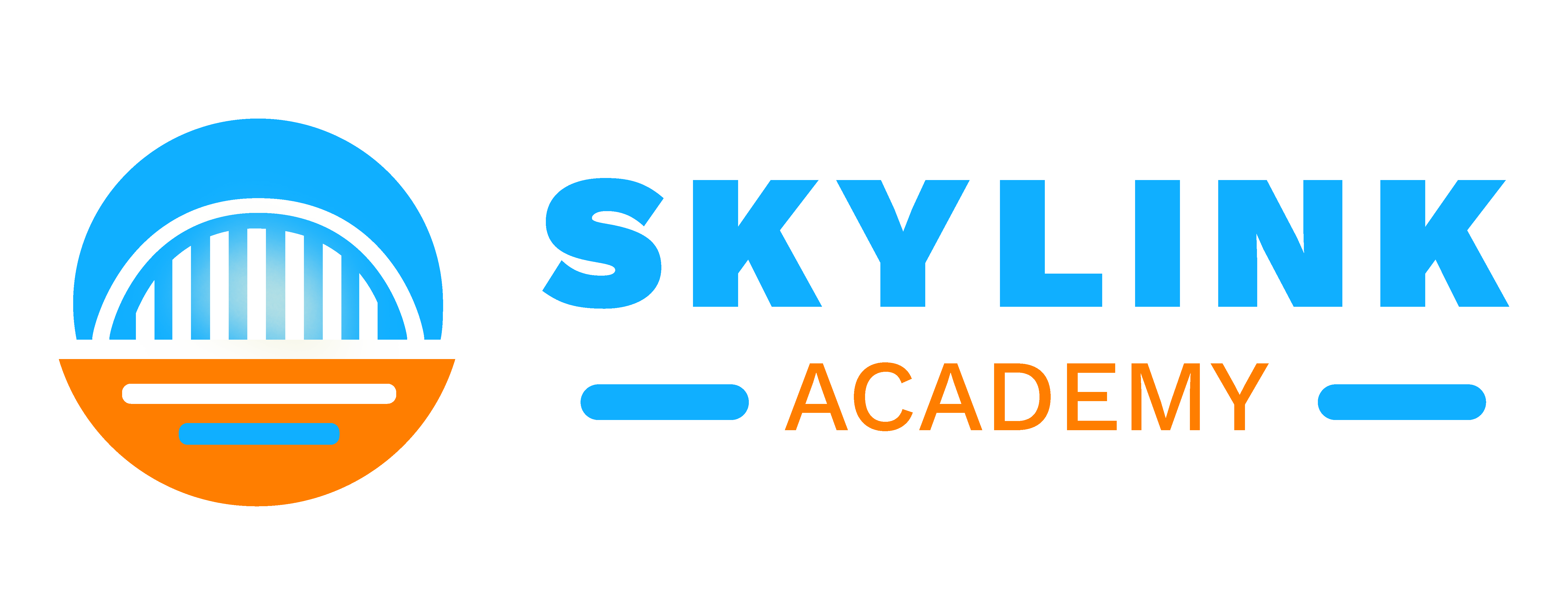 Skylink Academy – K-12 Online School